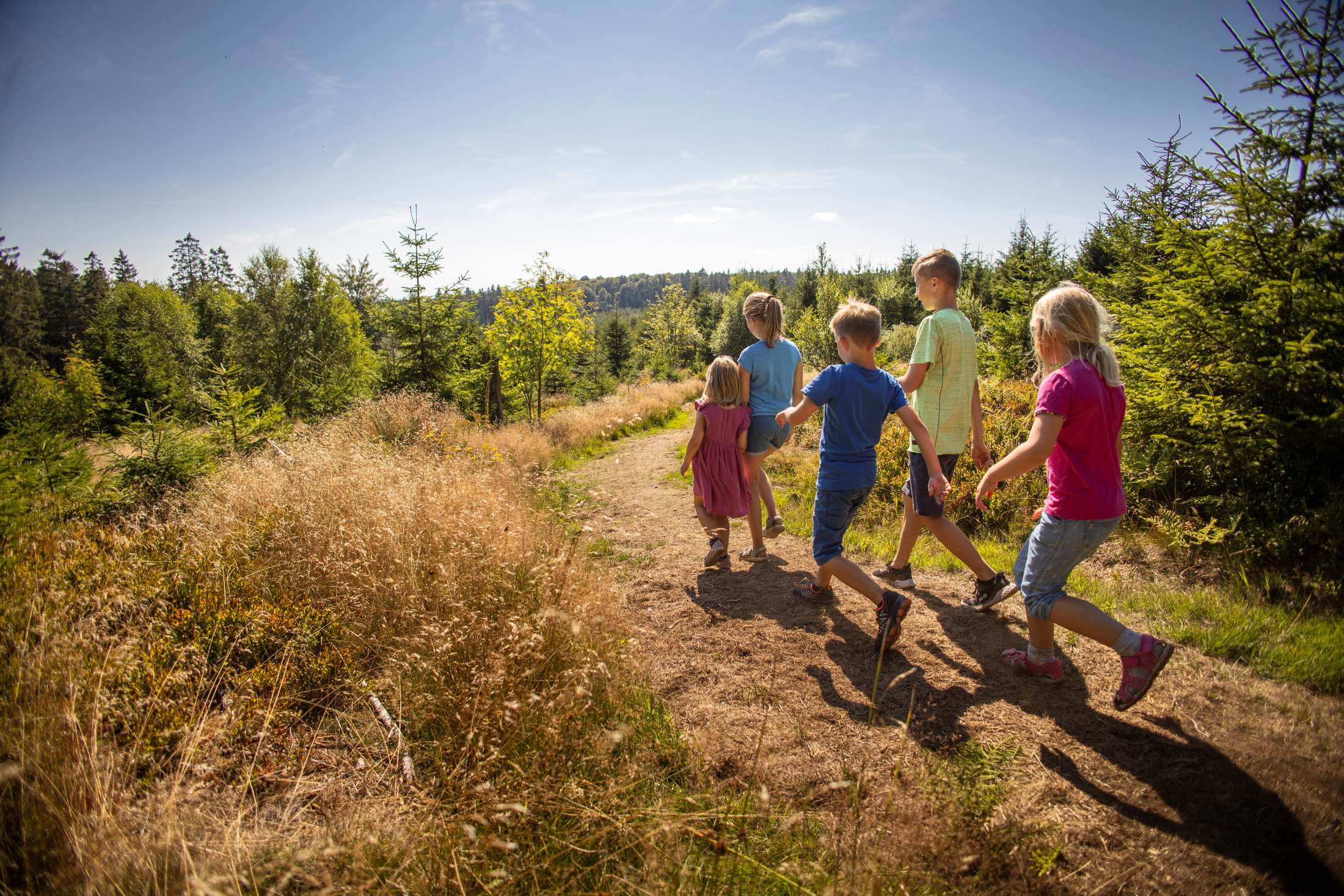 Kinder wandern durch die Sommerlandschaft in den Sommerferien Gruppe von Kindern wandert durch die Natur bei Willingen