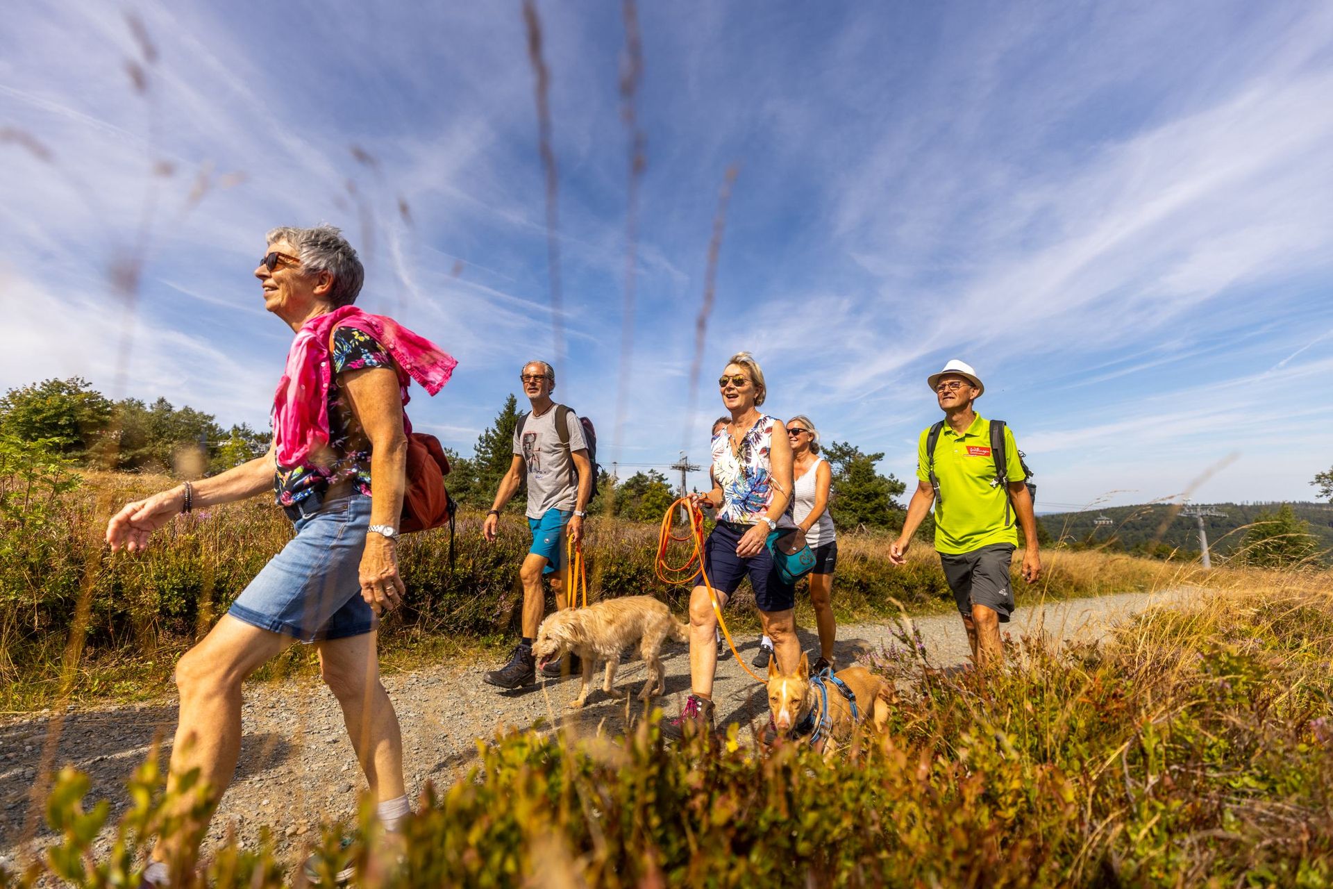 Wanderwege rund um den Ettelsberg entdecken Wanderer gehen über einen Wanderweg am Ettelsberg mit Blick auf die umliegende Landschaft